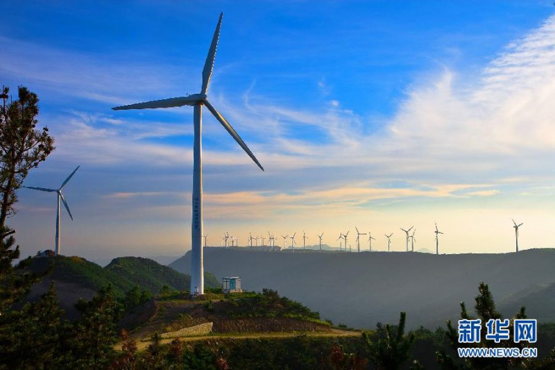 1116762525_14443509385251n