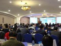 2015中国海上风电产业国际峰会在上海召开
