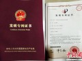 中国工程师全新风电技术获国家发明专利 筹备建设示范工程
