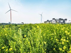 内蒙古：2023年已完成176MW分散式风电项目竞配，乌兰察布能投公司领衔