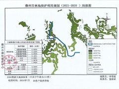 大唐海南儋州1.2GW海上风电项目用地公示