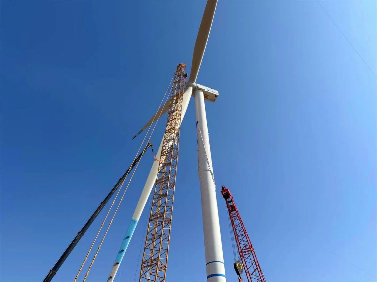 微信图片_2025-08-13_143619_987.jpg