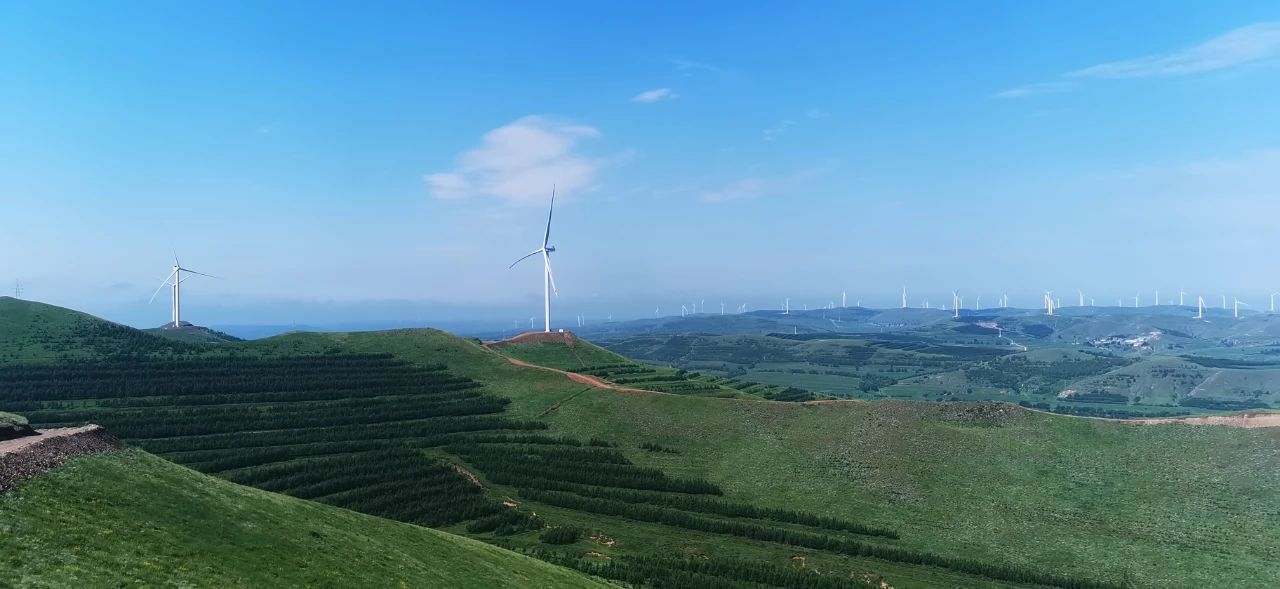 微信图片_2025-08-15_141814_984.jpg