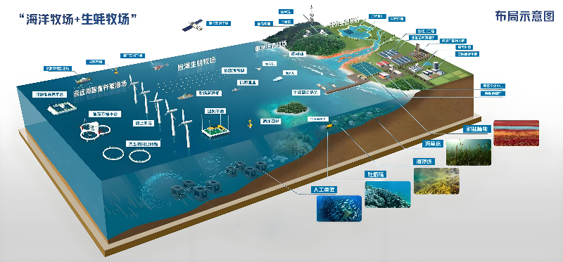 附图4:“风渔融合”现代化海洋牧场.jpg
