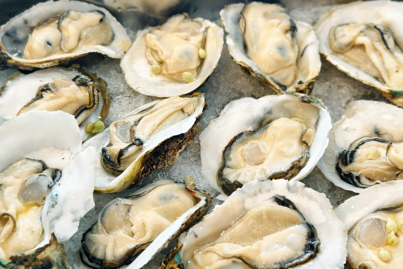 附图2:项目出产的“刺身级”高品质生蚝.jpg