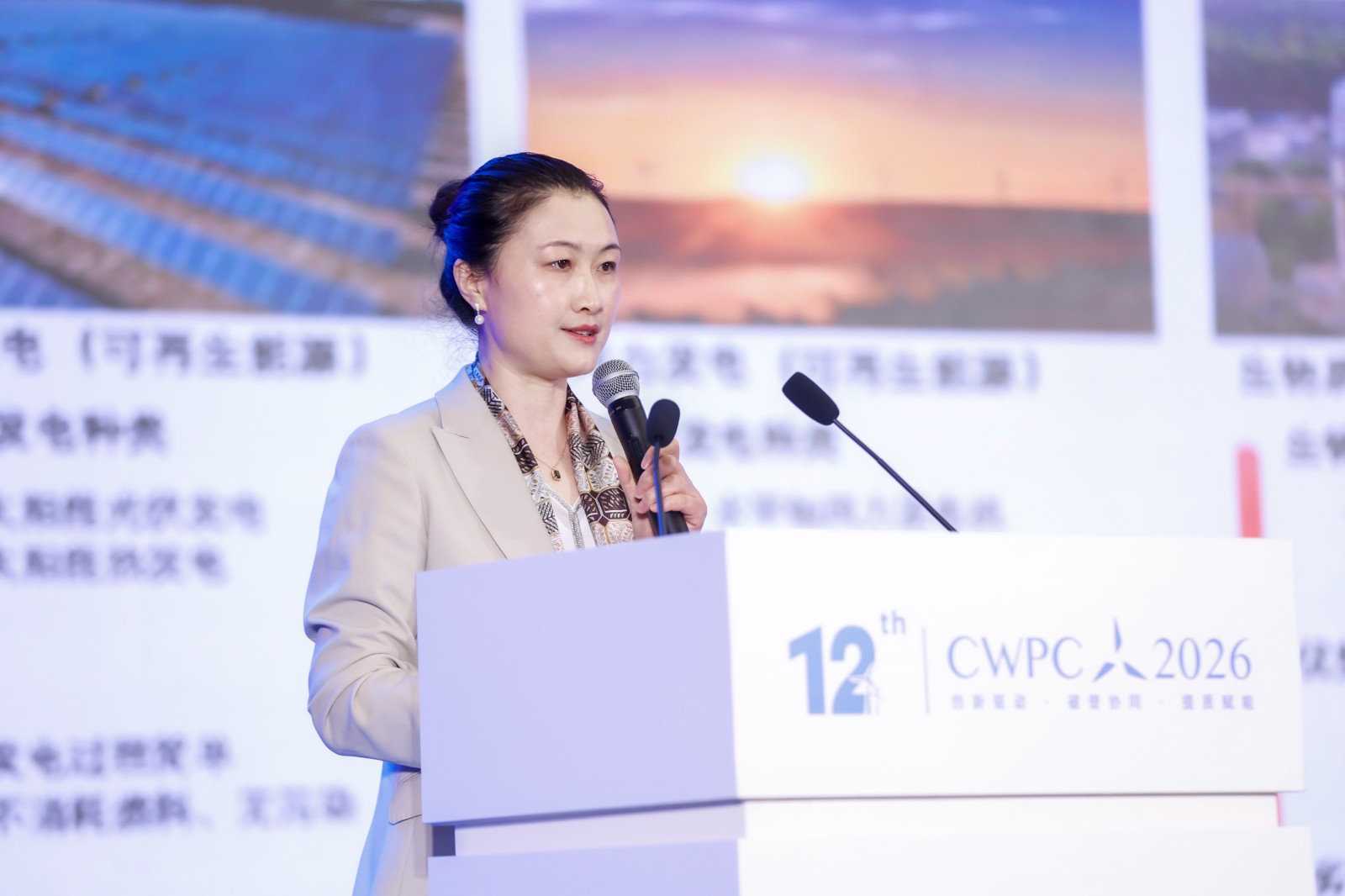 谢菲 中国复合材料工业协会复合材料维修检测与回收专委会副主任、东方风力发电网副总经理