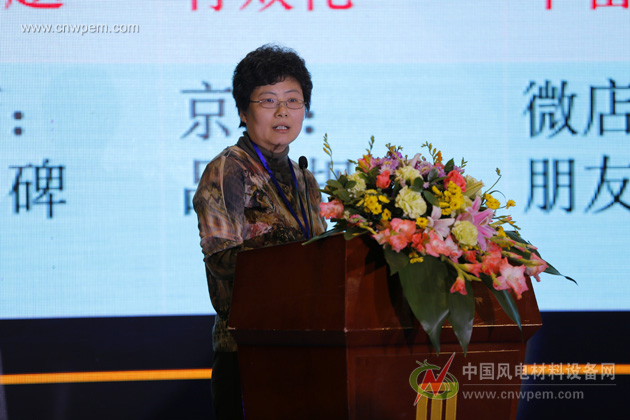清华大学机械工程系副研究员张向军博士就基础科学推动风电摩擦学的